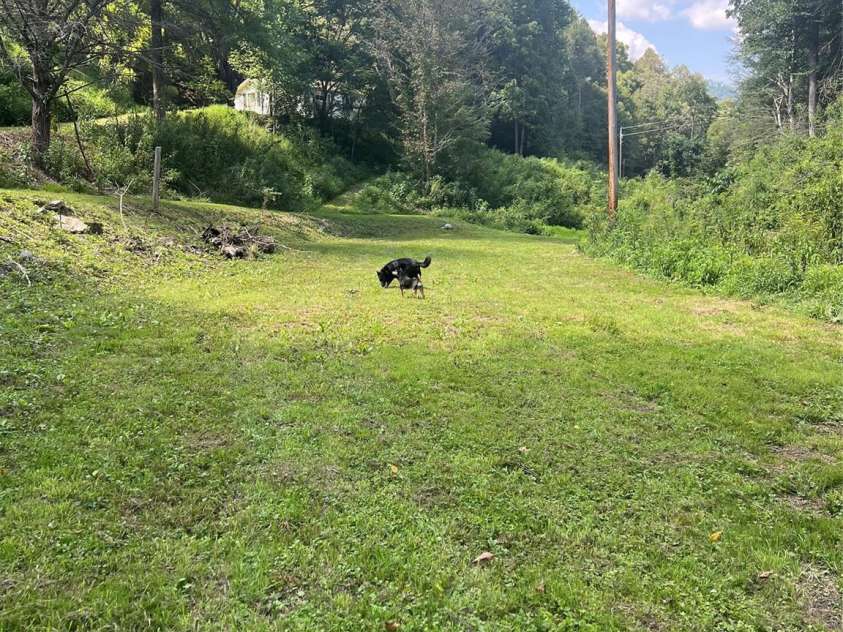 5981 Revere Road, Marshall, NC 28753.  MLS# CAR4292914, YatesRealty ID 32683. 