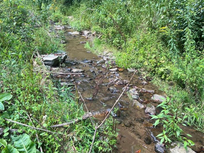 5981 Revere Road, Marshall, NC 28753.  MLS# CAR4292914, YatesRealty ID 32683. 