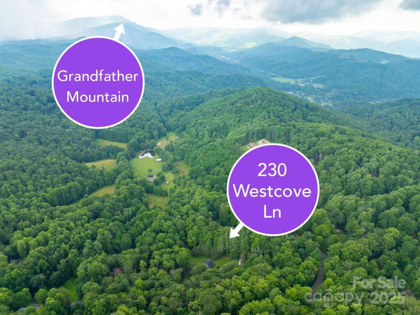 230 West Cove Lane, Boone, NC 28607.  MLS# CAR4319772, YatesRealty ID 327. 