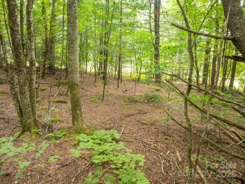 230 West Cove Lane, Boone, NC 28607.  MLS# CAR4319772, YatesRealty ID 327. 