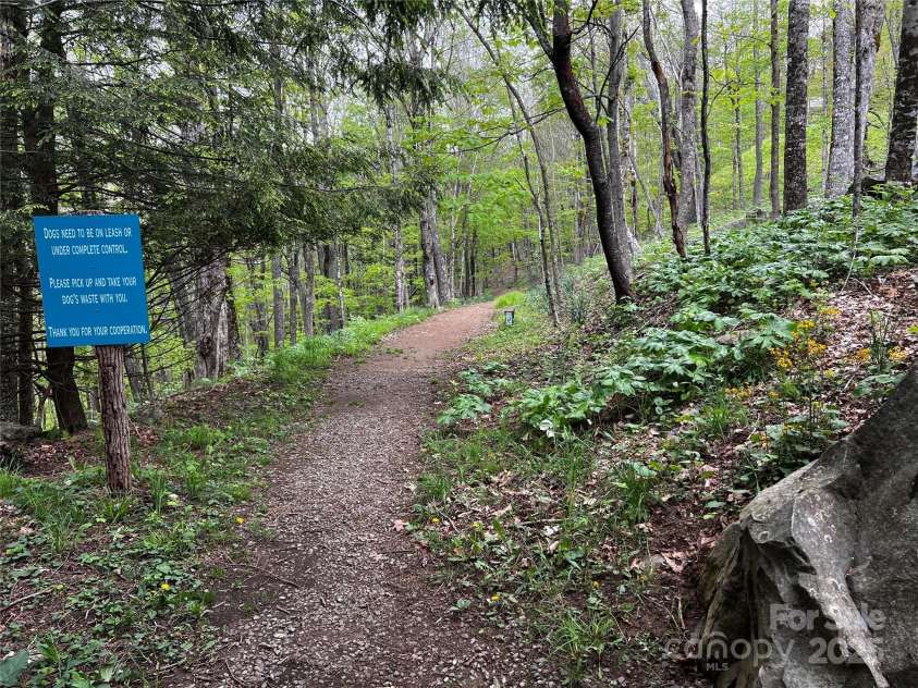 920 McKinney Gap Drive, Mars Hill, NC 28754.  MLS# CAR4277067, YatesRealty ID 32718. Hiking Trails
