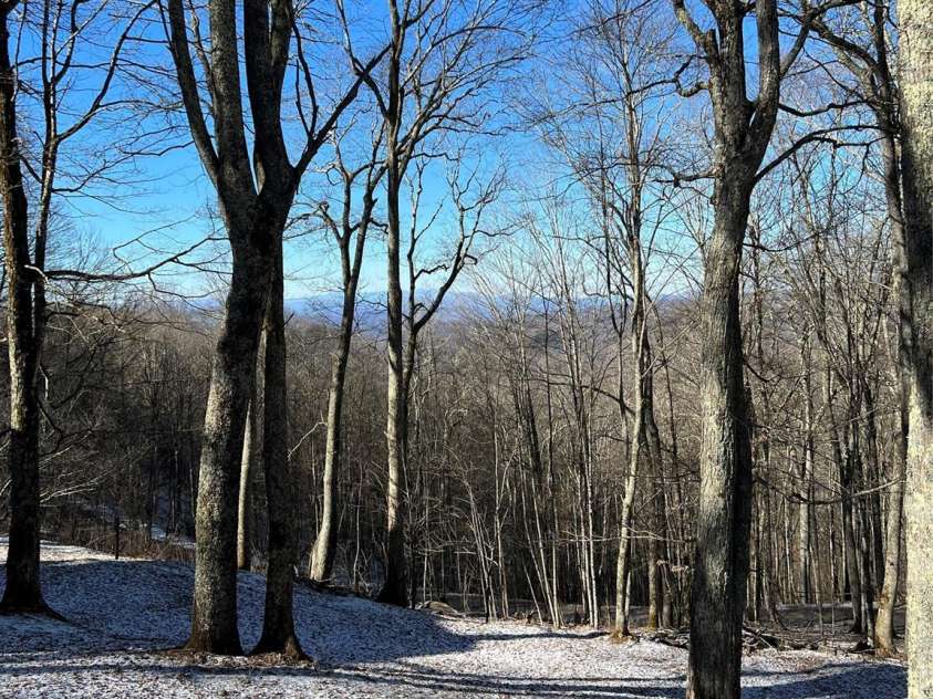 920 McKinney Gap Drive, Mars Hill, NC 28754.  MLS# CAR4277067, YatesRealty ID 32718. Winter Views