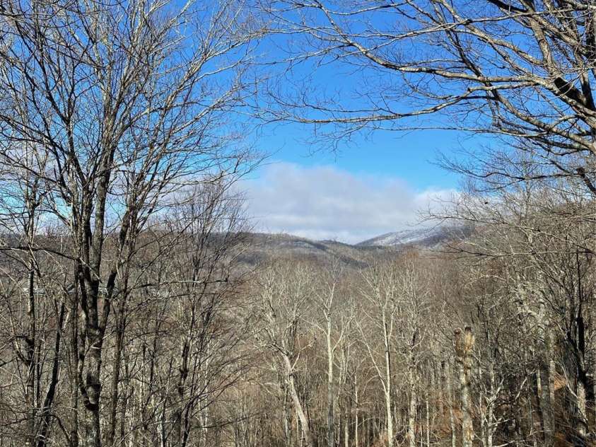 920 McKinney Gap Drive, Mars Hill, NC 28754.  MLS# CAR4277067, YatesRealty ID 32718. Winter Views