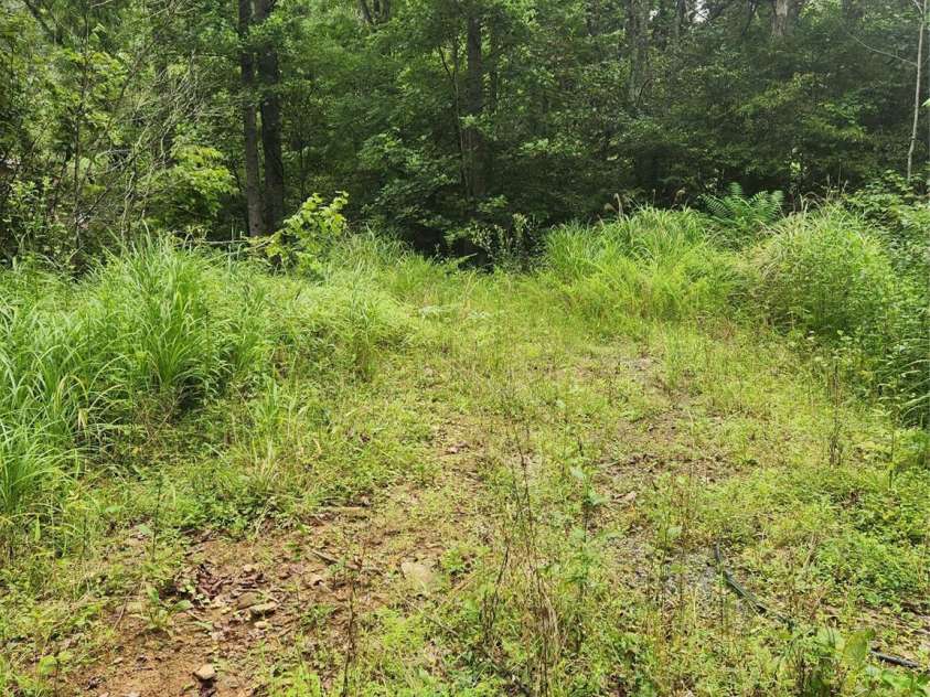 3076/3078 Blue Creek Road, Lenoir, NC 28645.  MLS# CAR4289732, YatesRealty ID 32744. 