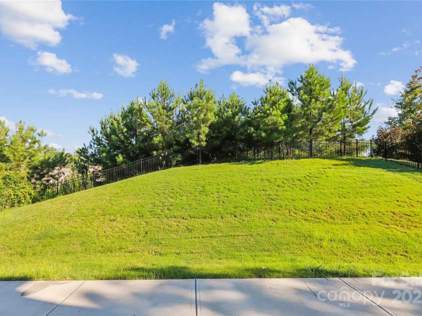 16004 Deer River Road, Charlotte, NC 28278.  MLS# CAR4171564, YatesRealty ID 3276. Back exterior with privacy hill