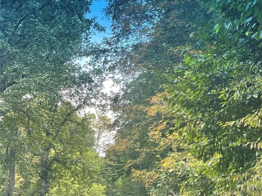 100 Susanna Cove Road, Mars Hill, NC 28754.  MLS# CAR4288018, YatesRealty ID 32835. Beautiful Susanna Cove Rd