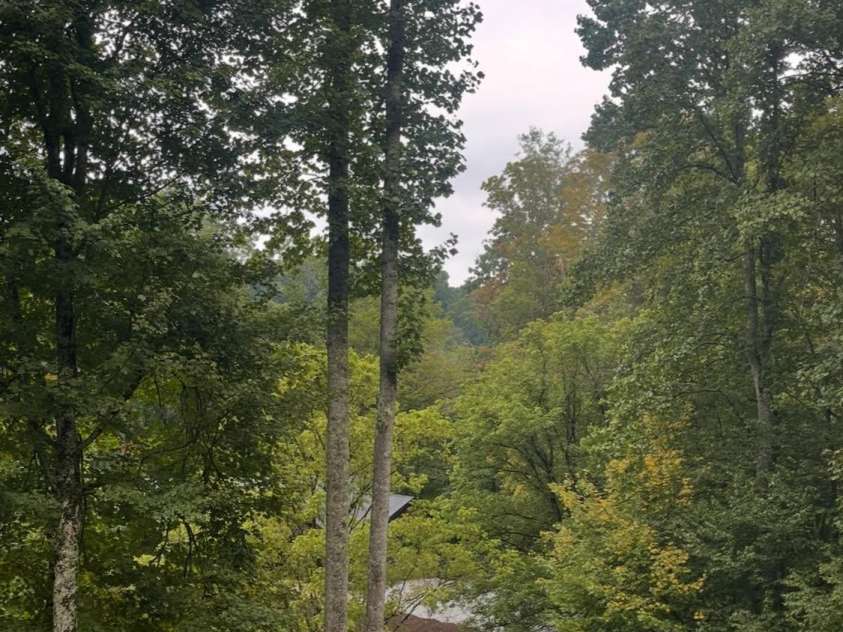 100 Susanna Cove Road, Mars Hill, NC 28754.  MLS# CAR4288018, YatesRealty ID 32835. View from front porch