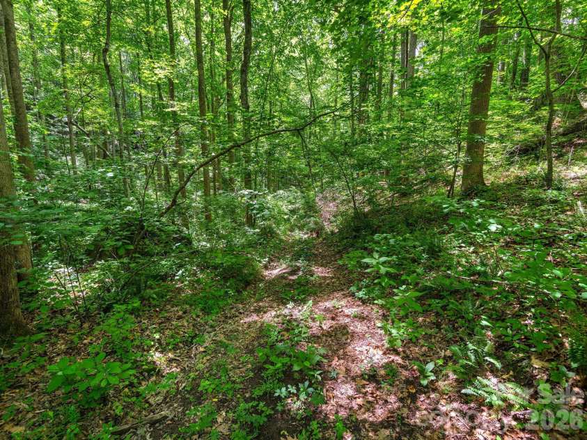 181 Harley Davidson Drive, Canton, NC 28716.  MLS# CAR4379451, YatesRealty ID 32873. 