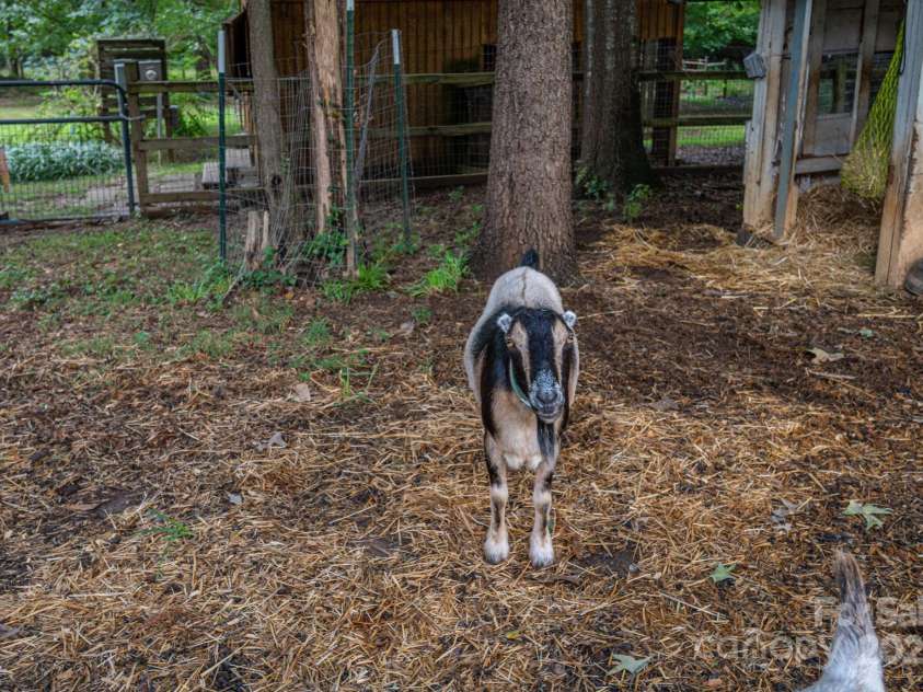 117 Remington Drive, Kings Mountain, NC 28086.  MLS# CAR4292360, YatesRealty ID 32969. 