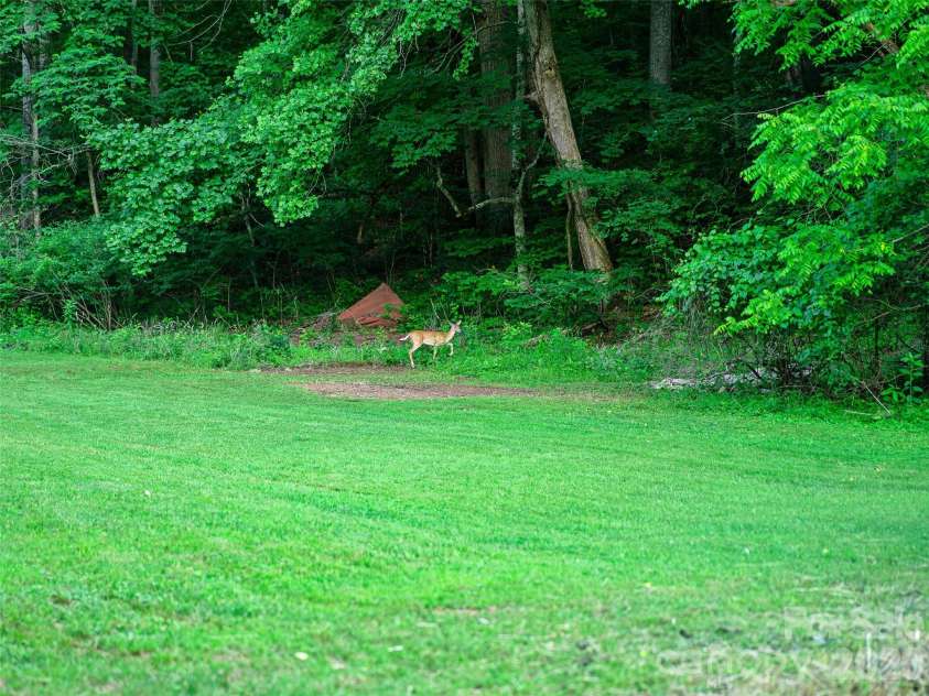 232 Langford Branch Road, Burnsville, NC 28714.  MLS# CAR4393285, YatesRealty ID 33000. 
