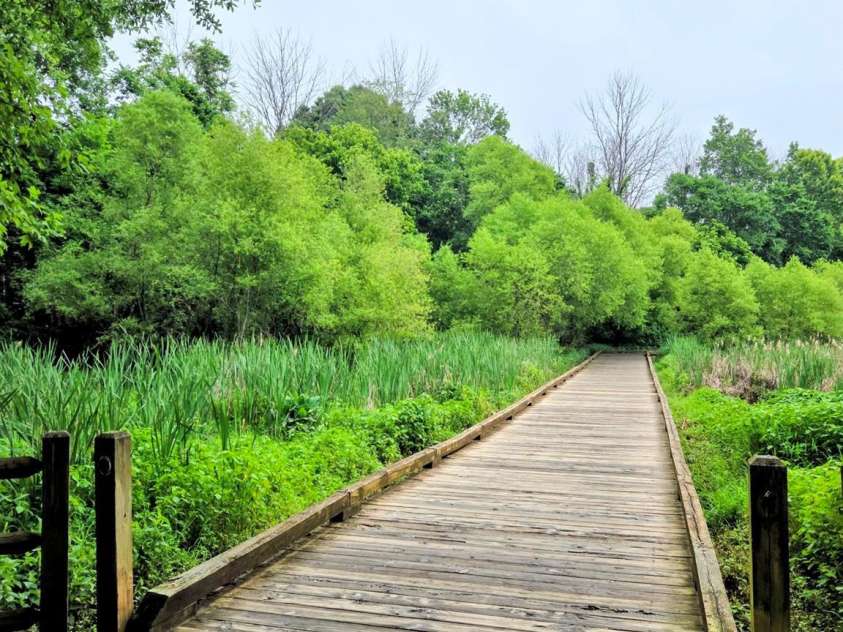 9234 Brechin Drive, Charlotte, NC 28277.  MLS# CAR4368306, YatesRealty ID 33008. Walking Trails