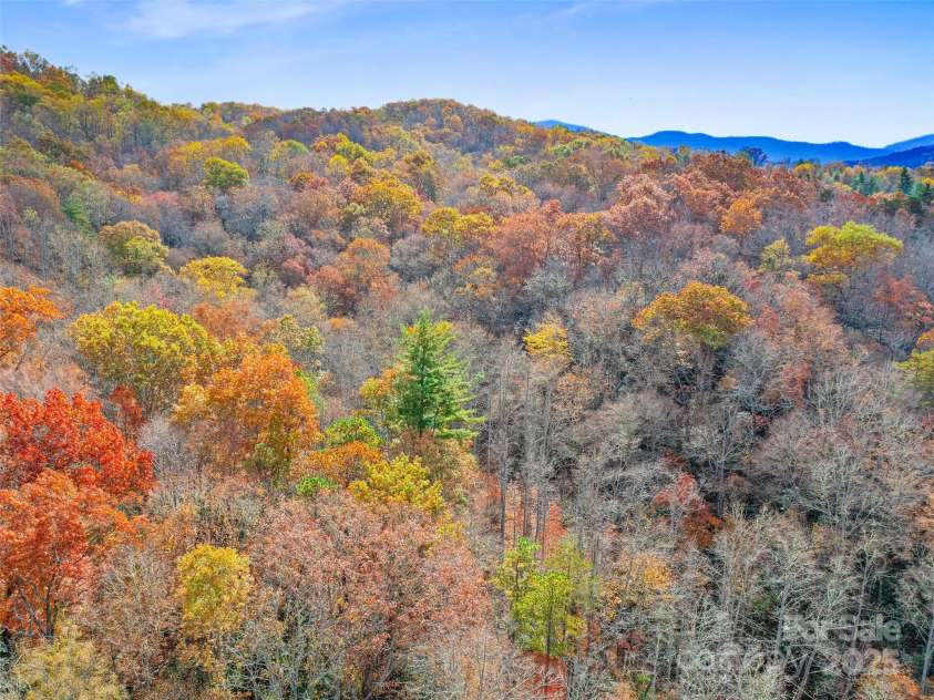 384 Flat Creek Road, Fairview, NC 28730.  MLS# CAR4240696, YatesRealty ID 3302. 