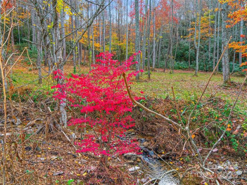 384 Flat Creek Road, Fairview, NC 28730.  MLS# CAR4240696, YatesRealty ID 3302. 