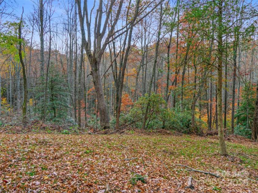 384 Flat Creek Road, Fairview, NC 28730.  MLS# CAR4240696, YatesRealty ID 3302. 