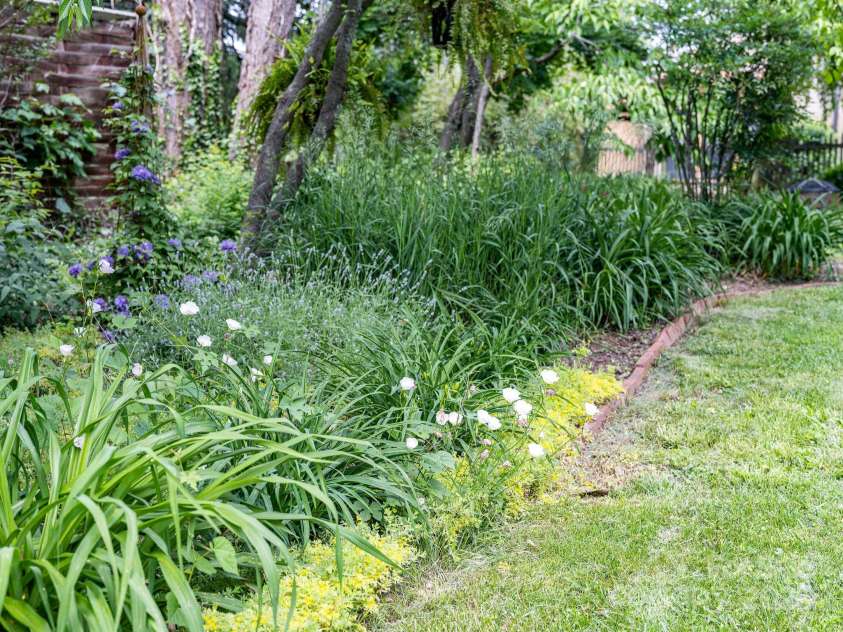 6 Craggy Circle, Asheville, NC 28803.  MLS# CAR4257989, YatesRealty ID 33040. Pereniall galore
