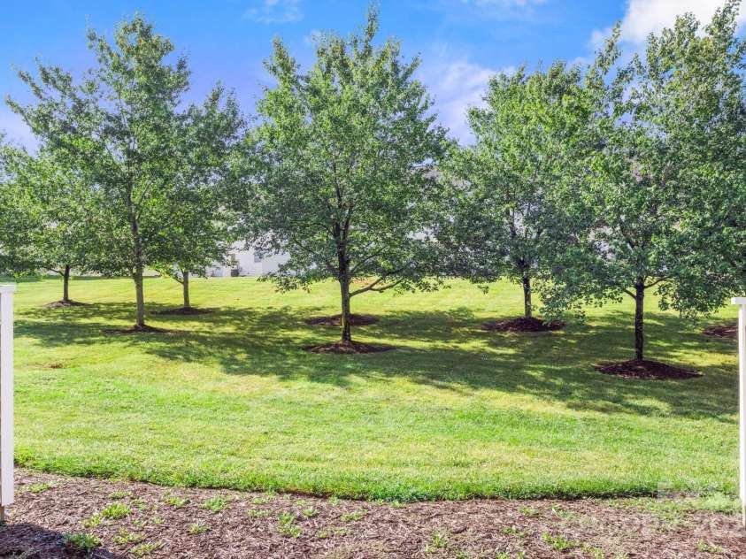 6318 Rhodins Lane, Fort Mill, SC 29707.  MLS# CAR4281464, YatesRealty ID 33078. View from back patio