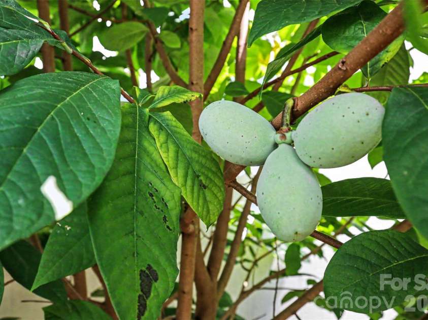 315 Bulrush Road, Clover, SC 29710.  MLS# CAR4396999, YatesRealty ID 33080. 