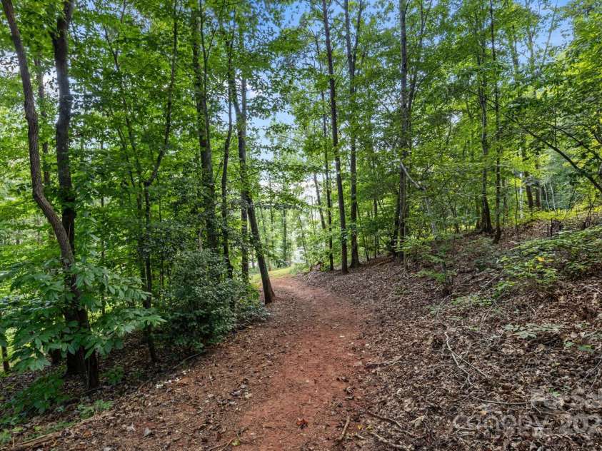 239 Old Lion Road, Statesville, NC 28625.  MLS# CAR4284609, YatesRealty ID 33114. Walking trail on property leads you to the water