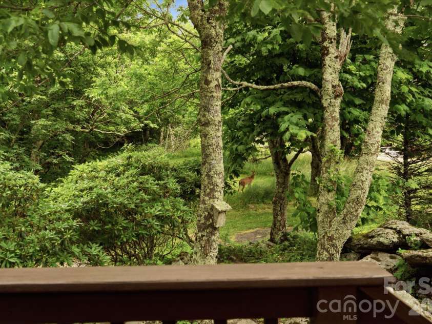 276 Four Diamond Drive, Seven Devils, NC 28604.  MLS# CAR4394348, YatesRealty ID 33119. 