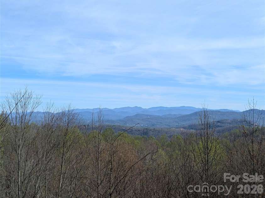 122 Birchwood Drive, Hendersonville, NC 28739.  MLS# CAR4397115, YatesRealty ID 33158. Winter views