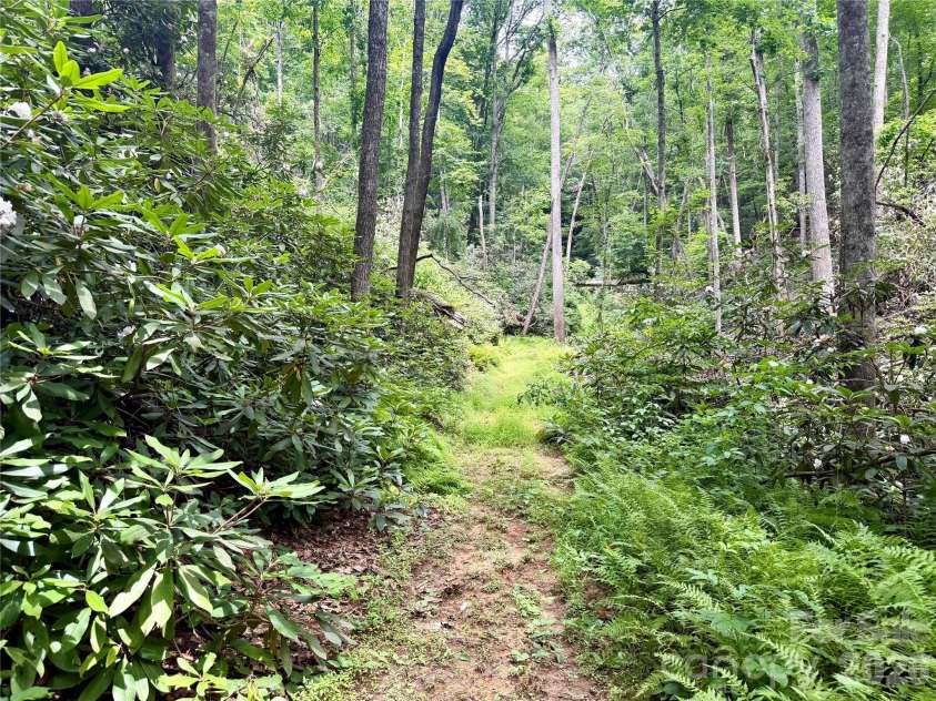 106 Flora Lina Drive, Brevard, NC 28712.  MLS# CAR4397002, YatesRealty ID 33206. Old Road Bed w/trails