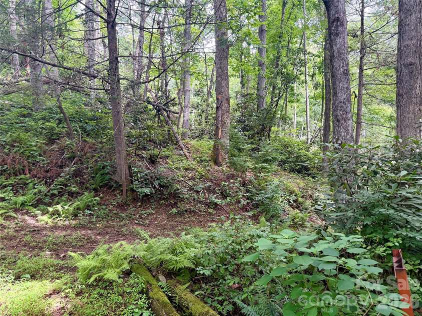 106 Flora Lina Drive, Brevard, NC 28712.  MLS# CAR4397002, YatesRealty ID 33206. Potential Build Site