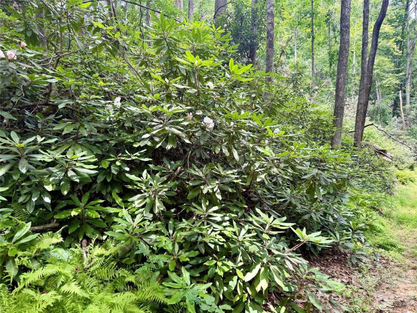 106 Flora Lina Drive, Brevard, NC 28712.  MLS# CAR4397002, YatesRealty ID 33206. Unrestricted Acreage