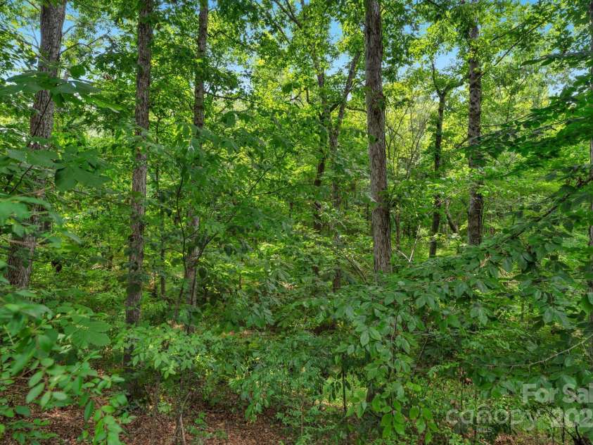 923 Buttermilk Lane, Monroe, NC 28110.  MLS# CAR4286325, YatesRealty ID 33212. 