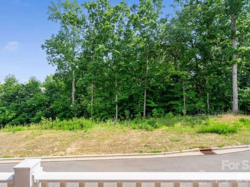 513 Evergreen Terrace, Cramerton, NC 28032.  MLS# CAR4389567, YatesRealty ID 33238. View of Tree line From Deck