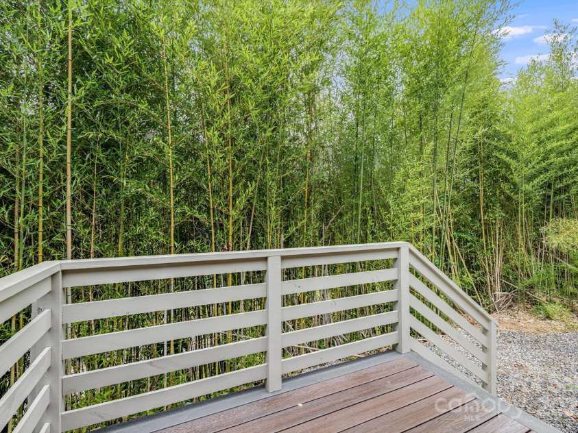 70 Teague Road, Marshall, NC 28753.  MLS# CAR4290135, YatesRealty ID 33263. Bamboo forest providea a tall privacy screen throughout the year