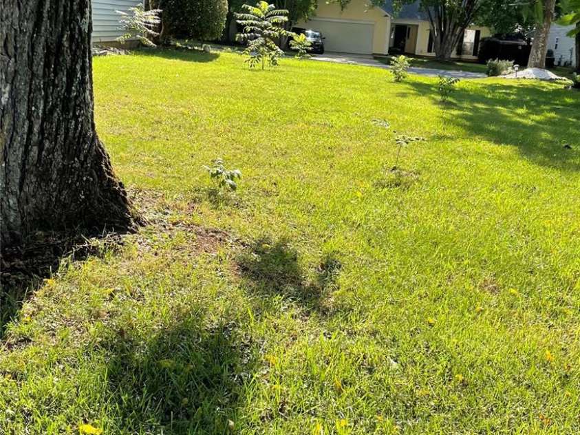 6912 Alanbrook Road, Charlotte, NC 28215.  MLS# CAR4284888, YatesRealty ID 33272. 