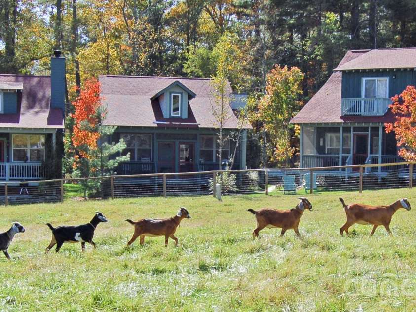 46 Rhett Drive, Flat Rock, NC 28731.  MLS# CAR4397835, YatesRealty ID 33399. 