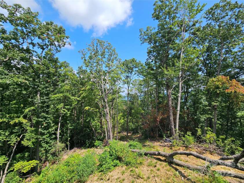 266 Potomac Falls Drive, Black Mountain, NC 28711.  MLS# CAR4293950, YatesRealty ID 33413. 