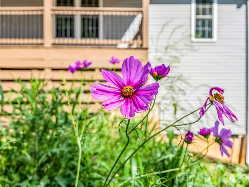 18 Old Chapman Place, Leicester, NC 28748.  MLS# CAR4398287, YatesRealty ID 33451. Flowers planted in the raised beds