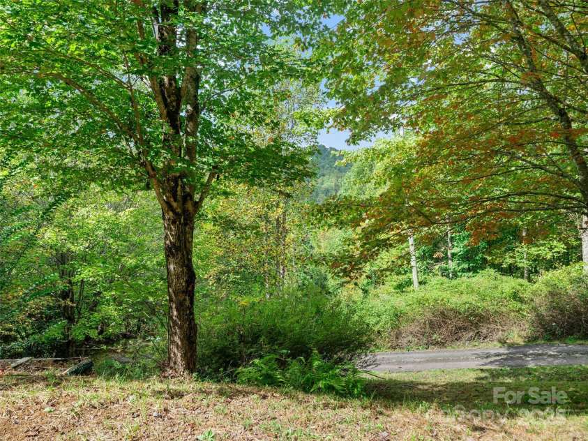 158 Dover Lane, Spruce Pine, NC 28777.  MLS# CAR4305142, YatesRealty ID 335. 