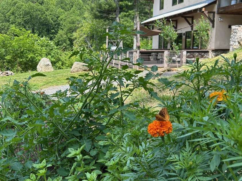 3151 Lumptown Road, Marshall, NC 28753.  MLS# CAR4270726, YatesRealty ID 33521. 