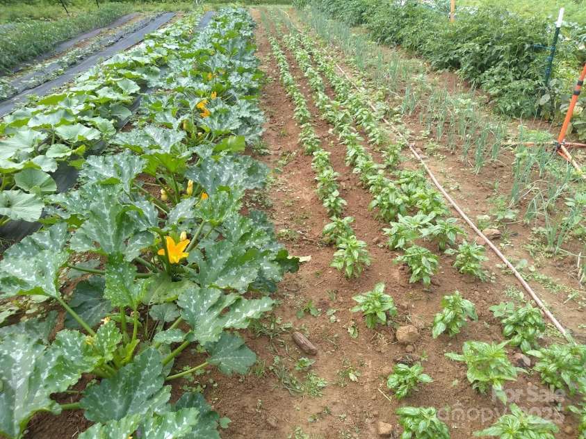 3151 Lumptown Road, Marshall, NC 28753.  MLS# CAR4270726, YatesRealty ID 33521. 