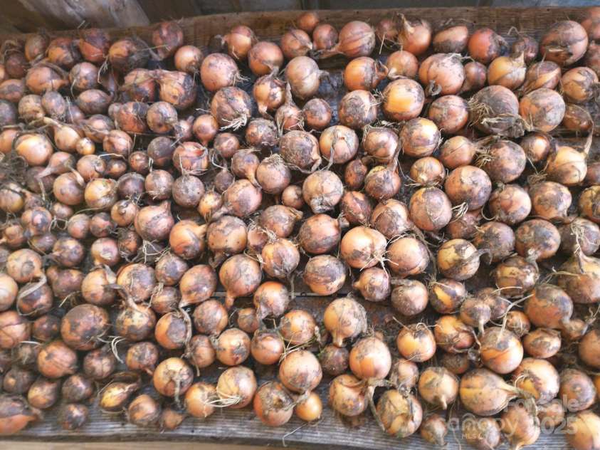 3151 Lumptown Road, Marshall, NC 28753.  MLS# CAR4270726, YatesRealty ID 33521. 