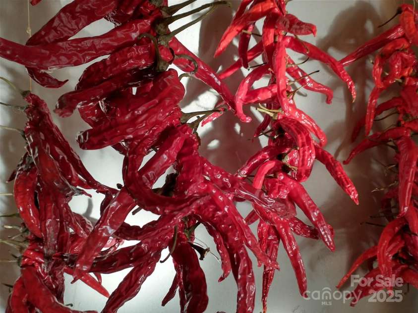 3151 Lumptown Road, Marshall, NC 28753.  MLS# CAR4270726, YatesRealty ID 33521. 