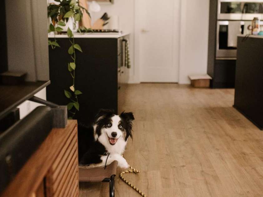 102 Mattoon Street, Charlotte, NC 28216.  MLS# CAR4291152, YatesRealty ID 33532. Bernie says this house was the best house ever!