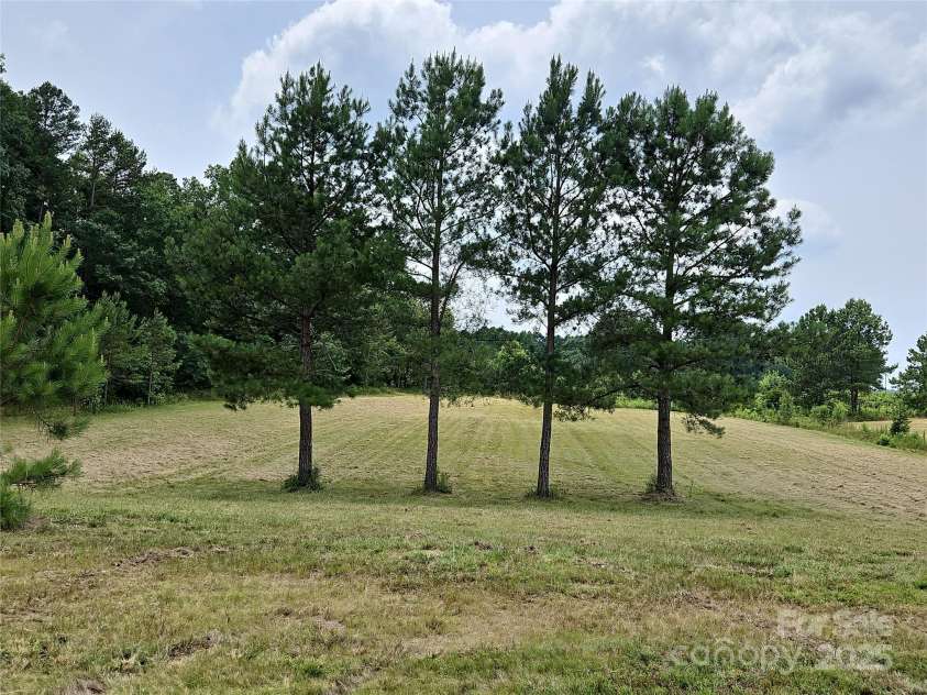 2905 Medlin Road, Monroe, NC 28112.  MLS# CAR4267802, YatesRealty ID 3356. Pretty lot on road frontage