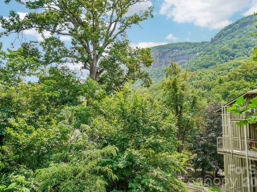 950 Main Street, Chimney Rock, NC 28720.  MLS# CAR4399509, YatesRealty ID 3358. 