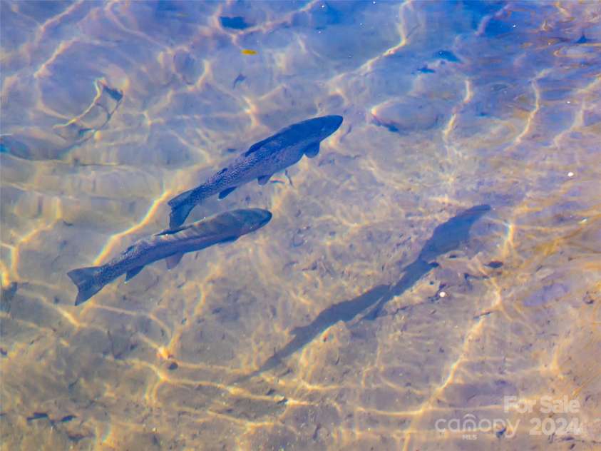 315 Garren Creek Road, Brevard, NC 28712.  MLS# CAR4106629, YatesRealty ID 336. 