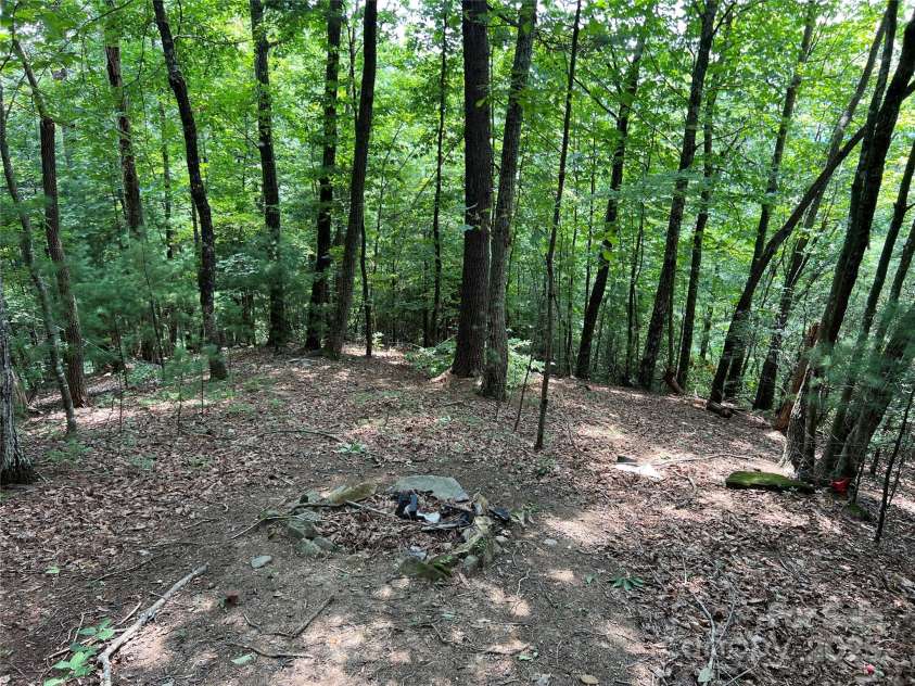 111 Shepherds Run, Purlear, NC 28665.  MLS# CAR4294834, YatesRealty ID 33740. Gently Sloping Lot