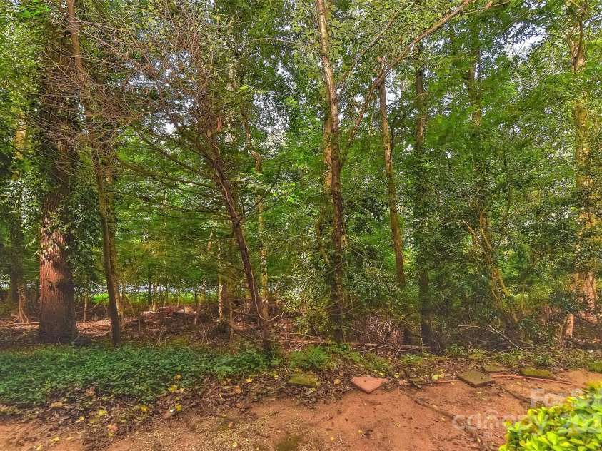 6500 Clavell Lane, Charlotte, NC 28210.  MLS# CAR4289455, YatesRealty ID 33760. The awesome wooded area in the back of unit A. Bird watch or see deers walk by, like you are on a walk in the woods!  And just down the hill is the greenway!  Living in the city, but feels like the mountains!