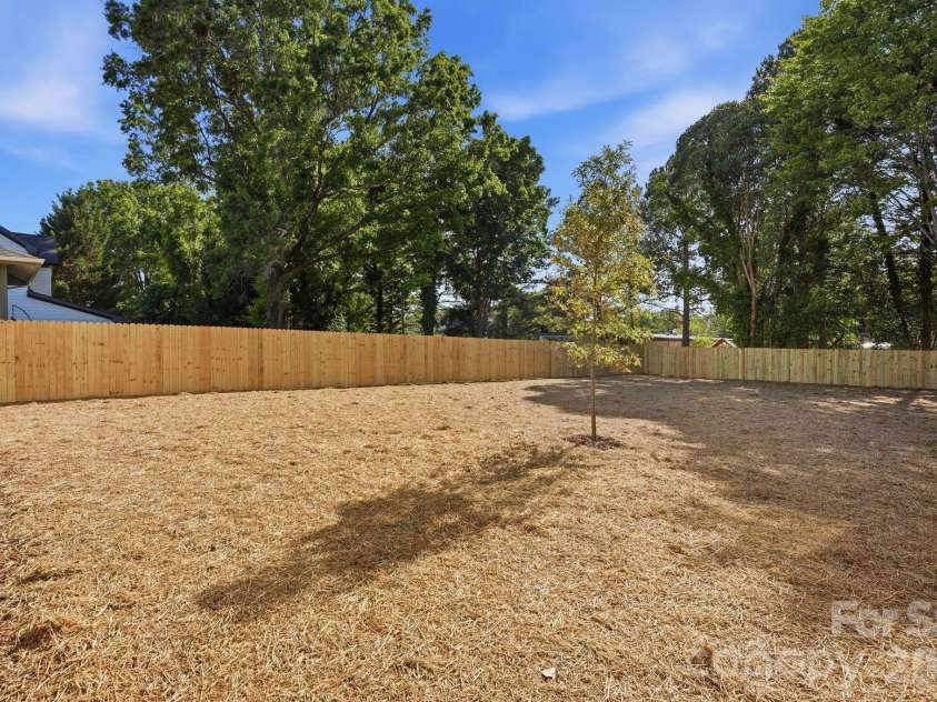1637 Longfellow Street, Charlotte, NC 28205.  MLS# CAR4346623, YatesRealty ID 3379. Backyard.