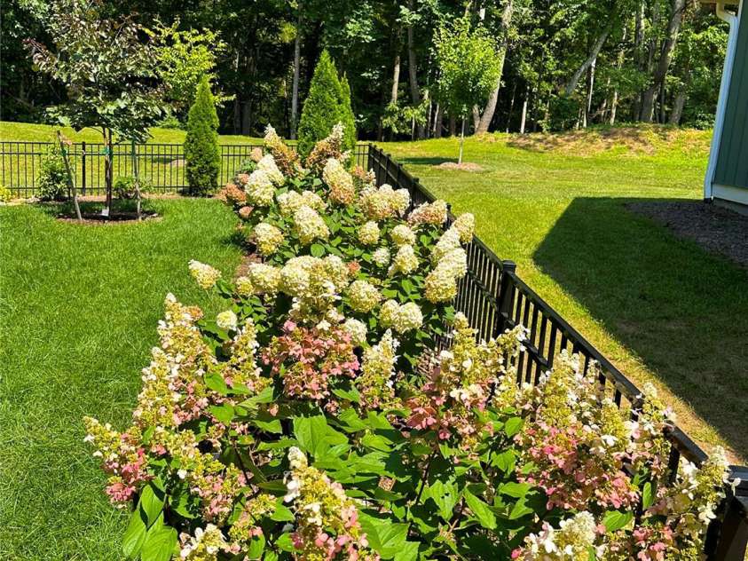 31 Cozy Cottage Way, Arden, NC 28704.  MLS# CAR4281542, YatesRealty ID 33841. 