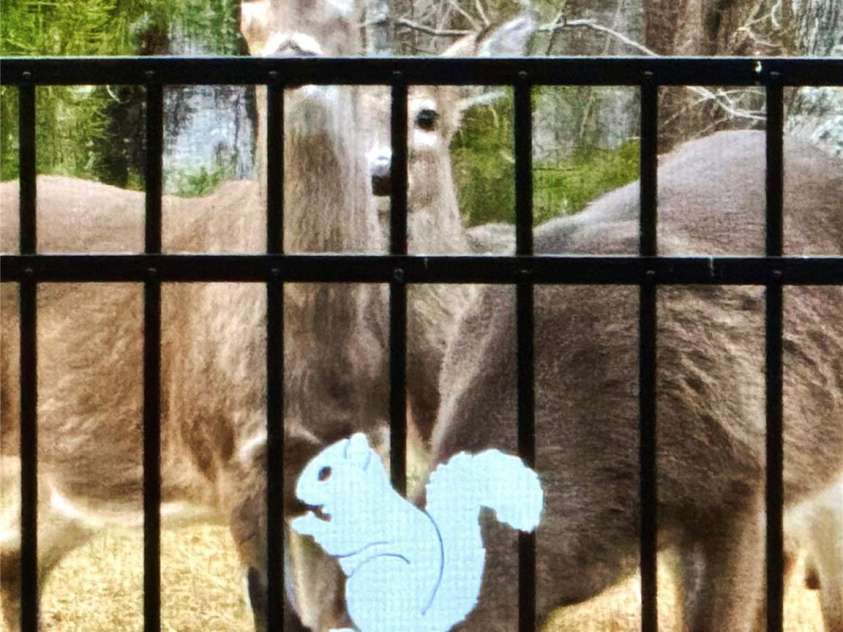 31 Cozy Cottage Way, Arden, NC 28704.  MLS# CAR4281542, YatesRealty ID 33841. 