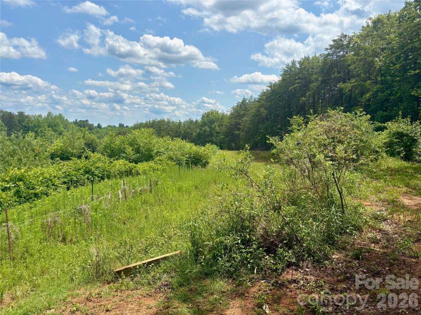 1812 Freemantown Road, Lake Lure, NC 28746.  MLS# CAR4398007, YatesRealty ID 33860. 