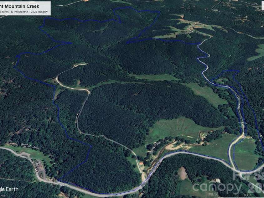 1194 Palmer Road, Mill Spring, NC 28756.  MLS# CAR4393766, YatesRealty ID 33865. Google Earth - 2025 imagery
